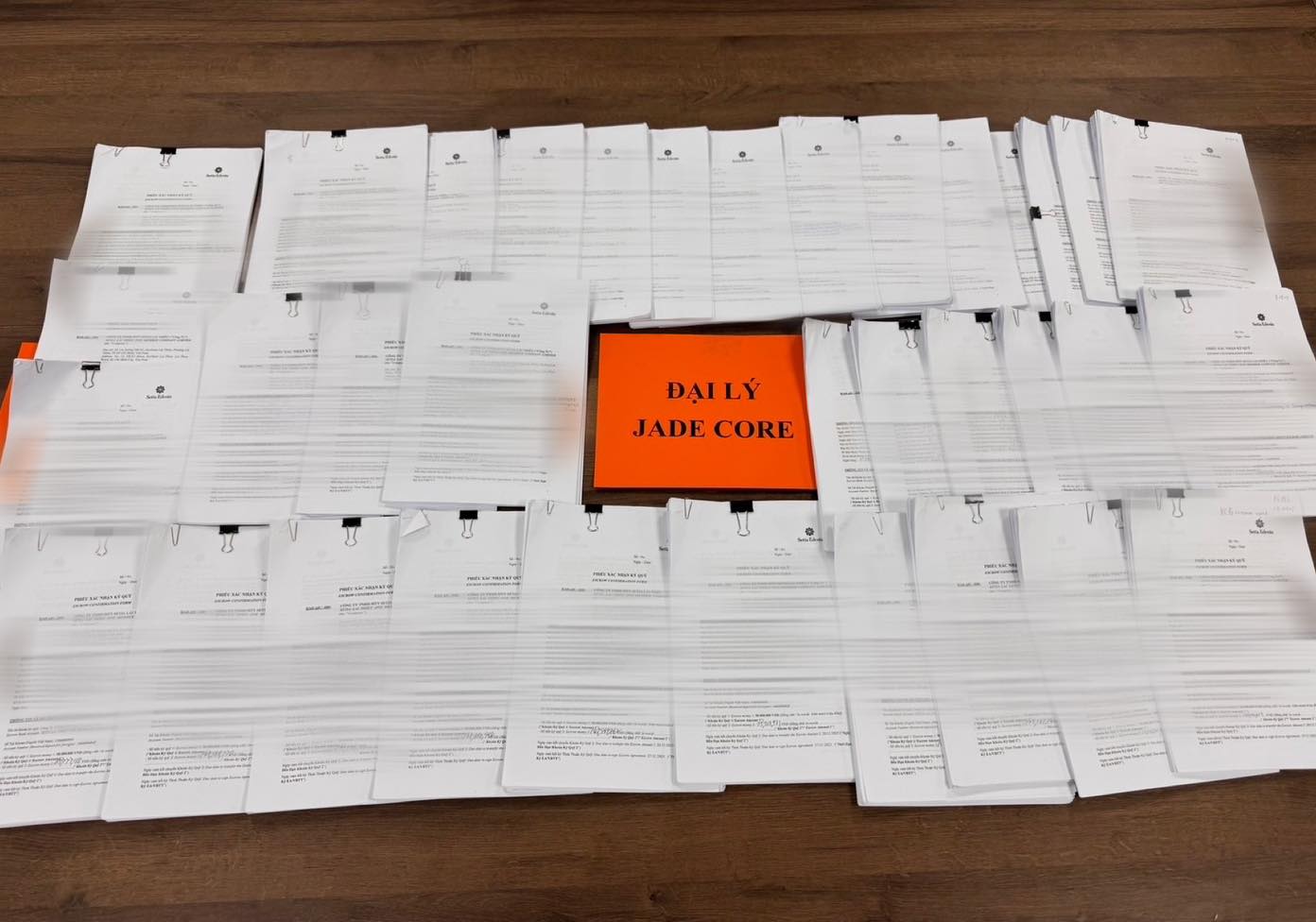 【從台灣出發，在越南被看見｜和氏璧國際物業 Setia Edenia 開盤紀錄】 - 圖片 2